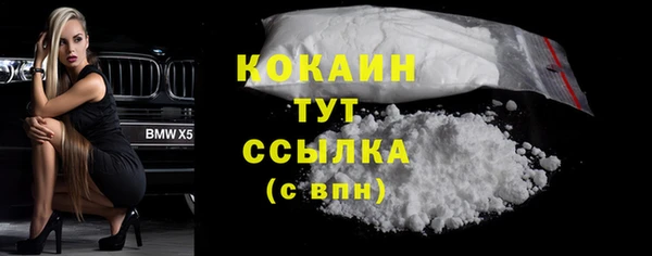 бошки Белокуриха