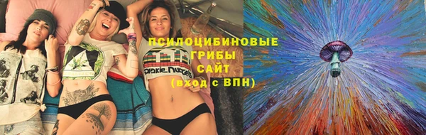 бошки Белокуриха