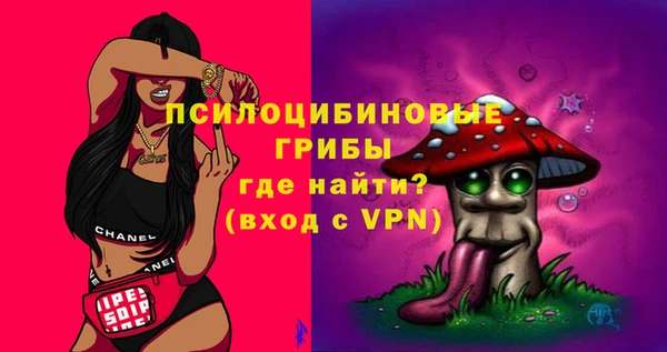 бошки Белокуриха